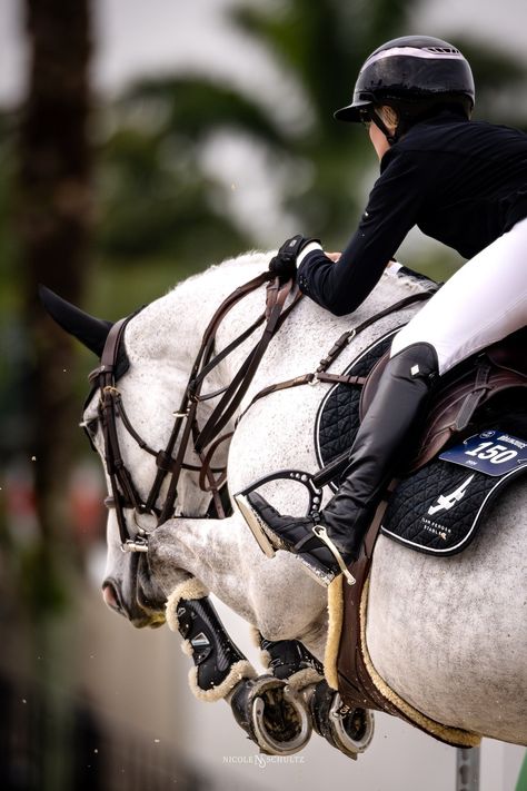 Nicole Schultz, Florida Equine Photographer Hermes Equestrian Aesthetic, Eventing Aesthetic, Show Jumping Aesthetic, Horse Show Aesthetic, Equine Aesthetic, Horse Riding Competition, Showjumping Aesthetic, Horse Show Jumping, Winter Equestrian