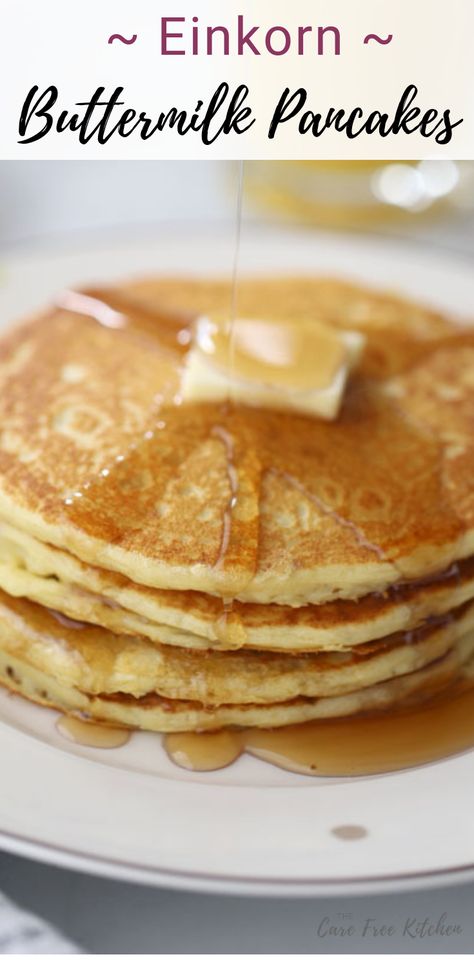 The ultimate Einkorn Pancake recipe! These Einkorn Buttermilk Pancakes are the best homemade einkorn pancakes. They're made with all-purpose einkorn flour, fresh buttermilk,  and real butter. Your family is going to love these buttermilk pancakes with einkorn flour.  #einkorn #buttermilk #pancakes #thecarefreekitchen #homemade #scratch Einkorn Pancakes, Sour Cream Pancakes, Einkorn Recipes, Bread Healthy, Einkorn Flour, Pancake Recipe Buttermilk, Quick Chicken Recipes, Buttermilk Recipes, Crowd Pleasing Recipes