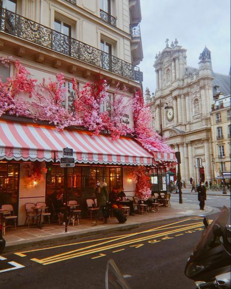 Paris Cafe Photography, Paris Cafe Aesthetic, France Cafe, Cafe In Paris, Paris Activities, Paris In Spring, Pink Cafe, Springtime In Paris, Aesthetic Paris