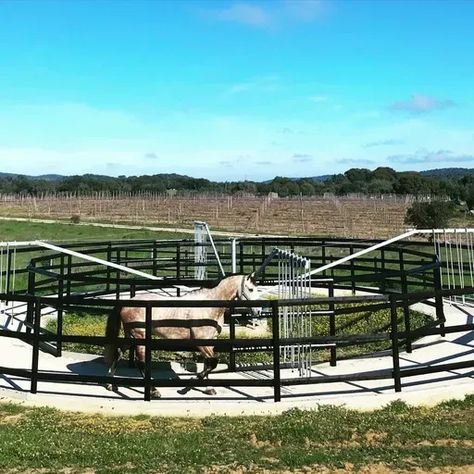 Horse using the walker Horse Walker, Equestrian Property, Stable Style, Equestrian Center, Cave Creek, Horse Property, New Readers, Horse Barns, Property Management