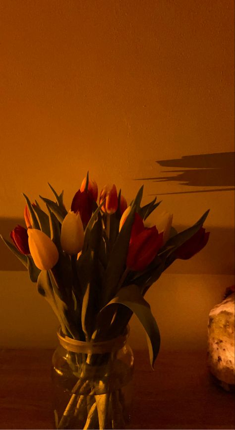 #tulips #aesthetic #cosy #flowers #saltlamp Orange Tulips Aesthetic Wallpaper, Orange Tulips Aesthetic, Flower Bouquet Pictures, Tulips Aesthetic, Glowing Embers, Monkey Wallpaper, Adventures Of Tom Sawyer, Wallpaper Cantik, Orange Tulips