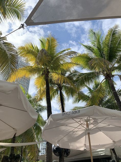 Miami Nikki Beach, Palm Beach Aesthetic, Miami Beach Aesthetic, Nikki Beach Miami, Vintage Florida Photography, Miami Lifestyle, Miami Vibes, Florida Aesthetic, Girls Trips