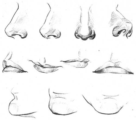 Different angles drawings Nose Studies, Nose Study, Some Drawings, 얼굴 드로잉, Nose Drawing, 얼굴 그리기, Lips Drawing, 인물 드로잉, Anatomy Drawing