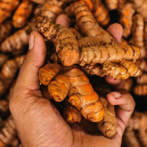 Native to Asia, turmeric has been used for centuries in cooking, medicine, and even cultural and religious services.  In fact, Indian weddings give this vibrantly colored spice a very important position, and a whole day ritual is devoted to it.  Usually, a day before the wedding (what is called the haldi ceremony) is w Turmeric Side Effects, Raw Turmeric, Fresh Turmeric Root, Turmeric Paste, Turmeric Spice, Root Color, Fresh Turmeric, Flatter Stomach, Deep Yellow