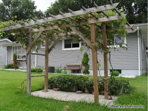 Grape Arbor Trellis Arbor Plans, Arbor Trellis, Grape Vine Trellis, Wisteria Pergola, Grape Trellis, Grape Arbor, Vine Trellis, Arbors Trellis, Cheap Pergola