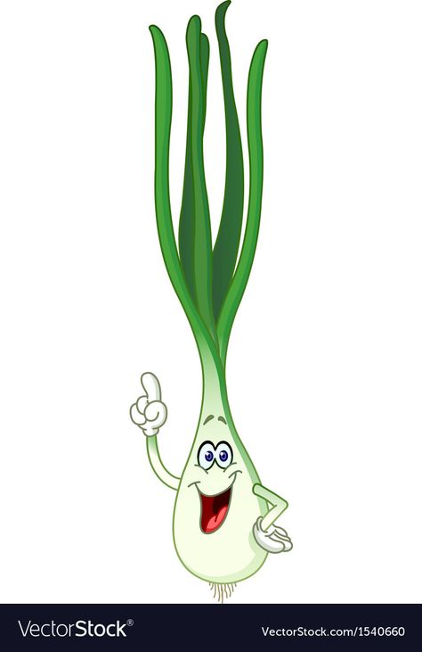 Green Onion Illustration, Onion Image, Onion Cartoon, Vegetable Cartoon, Kids Canvas Art, Cartoon Food, Cartoon Chicken, Fruit Cartoon, Cartoon Green