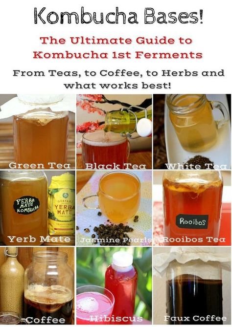 Green Tea Kombucha, Faux Coffee, Making Kombucha, Coffee Kombucha, Make Kombucha, Kombucha Flavors, Detox Tea Cleanse, Cultured Food, Kombucha Scoby