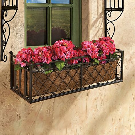 Dress up a spot for seasonal greenery or create a mini-garden almost anywhere with this planter boxes that add Old World grace and timeless, European style to windows and decks! Like those seen along Parisian streets and charming English villages, this Design Toscano unique almost yard-long window boxes are crafted in a durable, rust-resistant, powder-coated, lustrous chocolate brown finish. Create your own lush and lovely living focal points with this spectacular Design Toscano exclusives. Wrought Iron Window Boxes, Metal Window Boxes, Wood Window Boxes, Window Planter, Plant Window, Window Box Flowers, Iron Windows, Window Planters, Window Planter Boxes