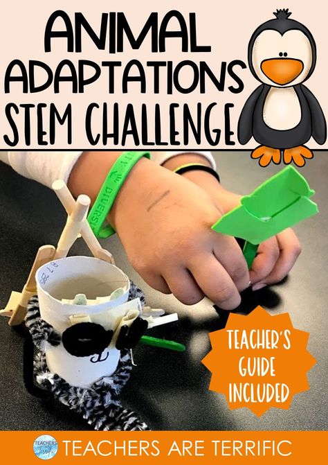 Here’s a perfect STEM challenge to use at the end of your study of Animal Adaptations. Students will build a three-dimensional model of an animal of their choice and showcase its adaptation. This is a great learning experience for everyone. Pirate Vocabulary, Stem Classes, Stem Ideas, Engineering Activities, Nonfiction Text Features, Animal Adaptations, Engineering Design Process, Challenges Activities, Stem Challenge