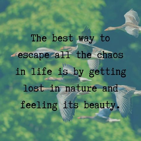 When Nature Calls Quotes, Escape Into Nature Quotes, Listen To Nature Quotes, Nature Is Therapy Quotes, Natural Captions, Quotes About Beauty In Nature, Quotes About Nature Beauty, Nature Quotes Instagram, Alternative Quotes