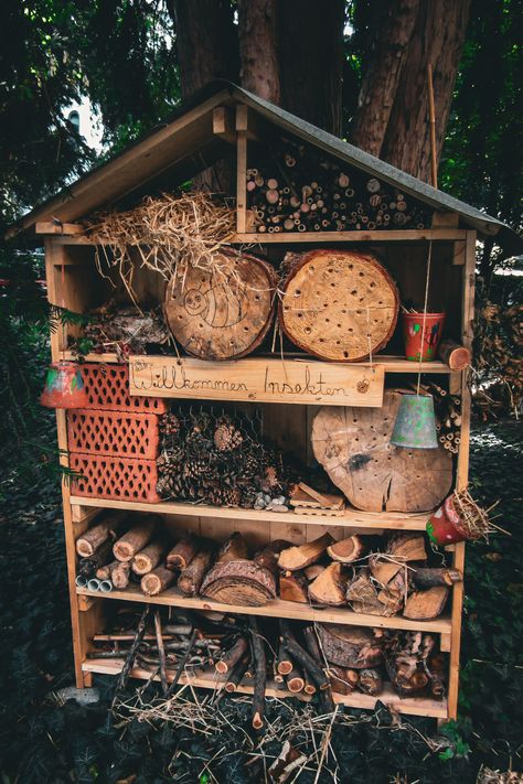 DIY insect hotels for the garden have become a popular way to help bees and pollinators, but do they really work? Are they good or bad for the pollinator garden? Visit the blog and read the article to learn more, and find out if an insect hotel is the best strategy for your pollinator garden design and layout. Diy Insect Hotel, Bug Hotel Ideas, Bee Garden Design, Bee Habitat, Bug Houses, Hotel Plants, Bee Hotels, Bug Hotels, Pollinator Garden Design