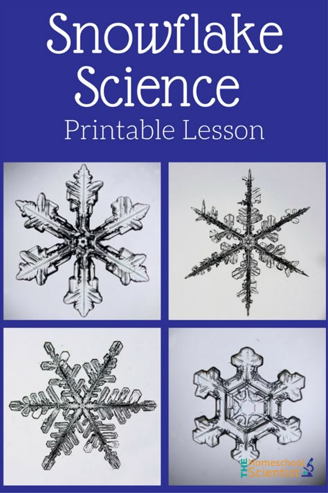 Perfect supplement for Chemistry and Physics. Free Snowflake Science Printable lesson Snowflake Bentley Activities Free, Snowflake Bentley Activities, Snowflake Science, Snowflakes Science, Snowflake Bentley, Science Printables, Snow Crafts, Winter Science, Christmas Science