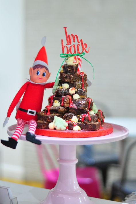 wilma's bakery elf on the shefl brownie stack Brownie Stack, Elf On The Shelf Return, Elf Return, Message From Santa, Awesome Elf On The Shelf Ideas, The Elf On The Shelf, Funny Ideas, Days Till Christmas, Delicious Brownies