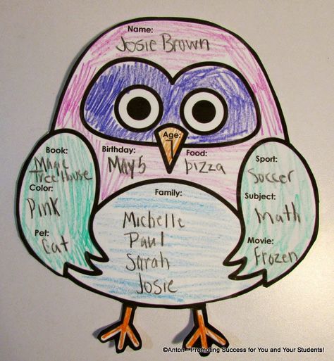 Owls Activities and Bulletin Board Ideas 4th Grade Bulletin Board Ideas, Owl About Me, Owl Classroom Decor, Owl Activities, All About Me Crafts, Emergent Literacy, Owl Theme Classroom, Owl Classroom, Classroom Idea