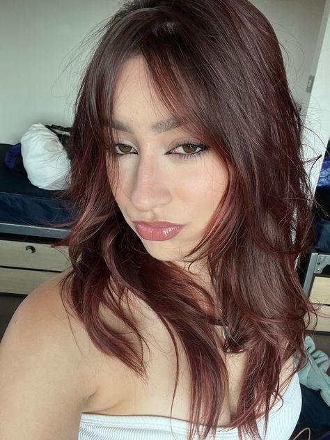 Cherry Brown Hair, Red Hair Inspo, Wine Hair, Cherry Hair, Hair Tint, Hair Streaks, Hair Stylies, Burgundy Hair, Hair Makeover