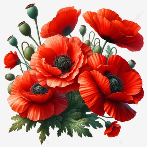 a bouquet of red flowers with the words a bouquet of red flowers bouquet of red flowers red flower Poppy Flower Illustration, Red Flowers Bouquet, Poppy Day, Red Flower Bouquet, Red Poppy Flower, Flower Words, Floral Wallpaper Phone, Boho Flowers, Poppy Flowers