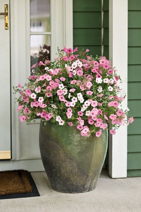 Front Porch Flower Pots, Front Porch Flowers, Spring Porch Decor, Porch Plants, Jardim Diy, Porch Flowers, Porch Planters, Flower Pot Design, Large Flower Pots