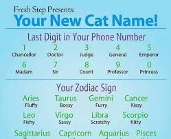 Whats your Cat Name? 🐱 Drop yours in the comments below! . . #catsanddogs #cats #catsofinstagram #dogsofinstagram #cat #dogs #dog #catstagram #pets #dogsandcats #instagram #catsanddogsofinstagram #catsanddogslivingtogether #meow #kittens #petsofinstagram #instacat #world #catlover #love #animals #dogstagram #petstagram #catlovers #adoptdontshop #pet #catlife #woof #puppy #instadog