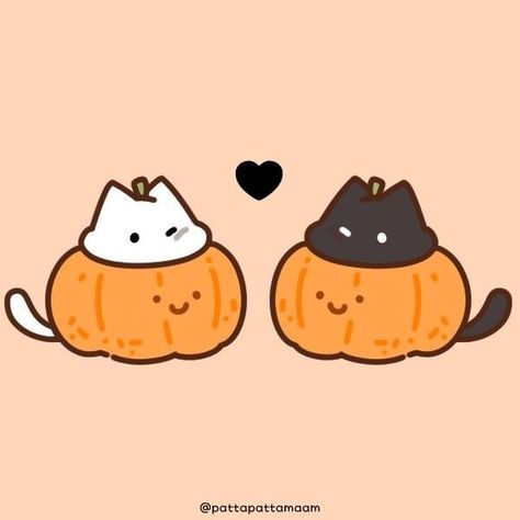 Cute Cat Drawing Halloween, Cute Fall Matching Pfps, Cute Halloween Widgets Aesthetic, Pumpkin Icon Aesthetic, Matching Halloween Cat Pfp, Halloween Cats Drawings, Halloween Cats Matching Pfp, Cute Halloween Cat Drawing, Cute Halloween Doodles To Draw