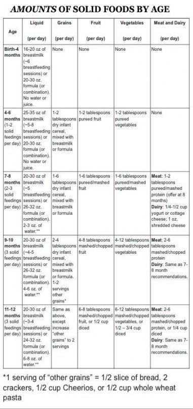 New baby food chart by age 37+ ideas,  #age #baby #babyfeedingbyage #Chart #food #ideas Check more at http://babyblog3.tvizlet.me/new-baby-food-chart-by-age-37-ideas/ Baby Food Schedule, Baby Food By Age, Diy Baby Food, Baby Food Chart, Baby First Foods, Baby Weaning, Solids For Baby, Food Charts, Food Baby