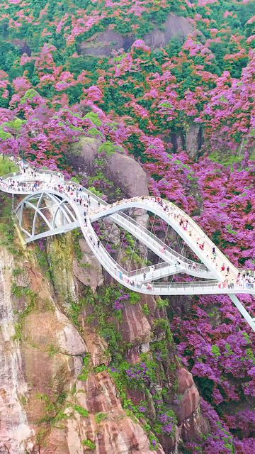 China Beautiful Places, Ruyi Bridge, Beautiful Places In China, Places Video, Nature Scene Tattoo, Tv Nature, Science And Nature Books, Nature Bookmarks, Nature Study