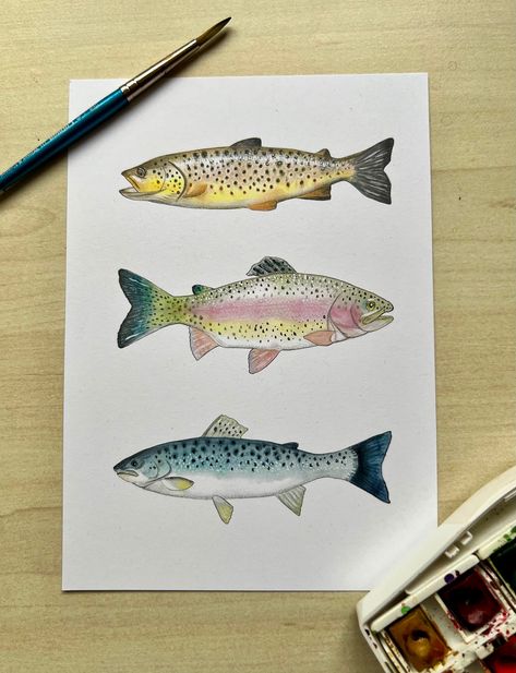 This is a signed print of an original watercolour I have painted of three beautiful trout species. The details have been picked out in colour pencil and the fish are drawn on a white background. They are a perfect gift for any fishing fan, or anyone with a love of wildlife.  The artwork is printed in the UK in high quality inks on 100% recycled uncoated FSC certified quality paper 300 - 350 gsm and sent out to you in a compostable plastic sleeve and board backed envelope to protect it on its way Pencil Colour Painting, Trout Painting, Trout Art, Fish Animal, 5x7 Frame, Watercolor Fish, Hand Sign, Diy Watercolor Painting, Brown Trout