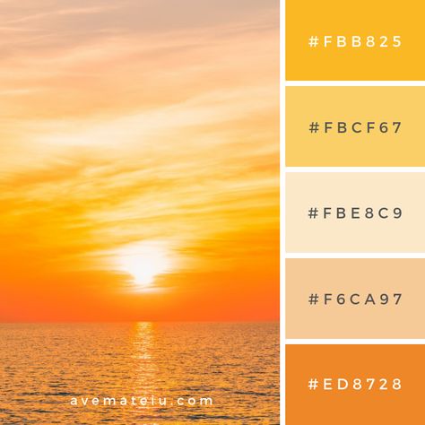 Water blue sunset filter beauty Color Palette #293 – Ave Mateiu Beauty Color Palette, Sunset Filter, Beach Color Palettes, Sunset Color Palette, Yellow Palette, Sunset Yellow, Sunrise Colors, Sunset Color, Hex Color Palette