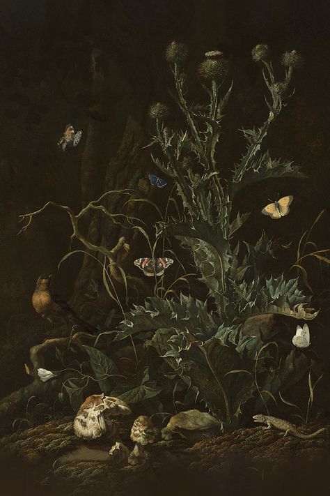 Tones: Kelp Green, Taupe Clay, Neutral Black About The Print:  Set against a dark packground, a large thistle stands while butterflies and other wildlife huddle around. Oil on canvas. About The Artist:  Abraham Begeyn was a Dutch Golden Age painter known for his landscapes and still-life paintings. Born in The Hague, h Thistles Art, Moth Art, Dutch Golden Age, Rich Color Palette, Unframed Art Prints, The Hague, Unframed Art, Still Life Painting, Framed Tv