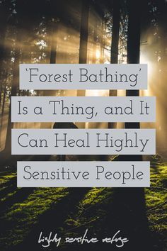 Offerings For The Forest, Forest Bathing Quotes, Forest Bathing Photography, Things To Do In The Woods, Grounding In Nature, Hiking Meditation, Tree Bathing, Nature Bathing, Being One With Nature