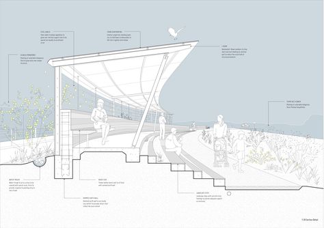 Outdoor Amphitheater Architecture, Amphitheater Architecture, Urban Design Diagram, Architecture Presentation Board, Architecture Graphics, Architecture Concept Drawings, Landscape Design Plans, Architectural Section, Layout Architecture