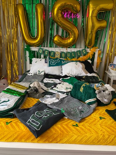 Usf College Bed Party, College Commitment Party, Usf Graduation Party, Decision Aesthetic, Usf Aesthetic, Decision Pictures, Life Visualization, College Transfer, College Prints