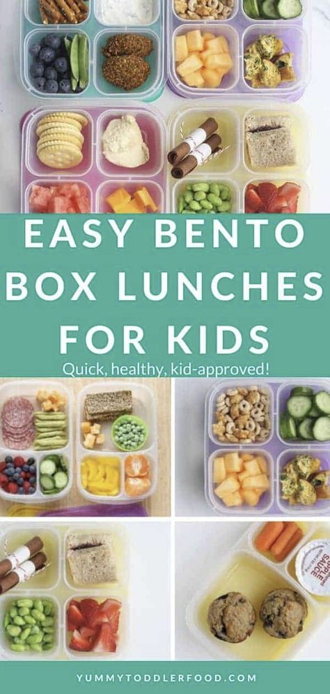 Daycare Bento Box Lunch Ideas, Lunch Ideas For Daycare Kids, Healthy Cold Lunches For Kids, Easy Lunch Toddler, Bento Box Kids Lunch Ideas, Toddler Bento Box Ideas, Preschool Lunch Ideas For School, Lunch Box Snacks For Kids, Bento Box School Lunch Ideas For Kids