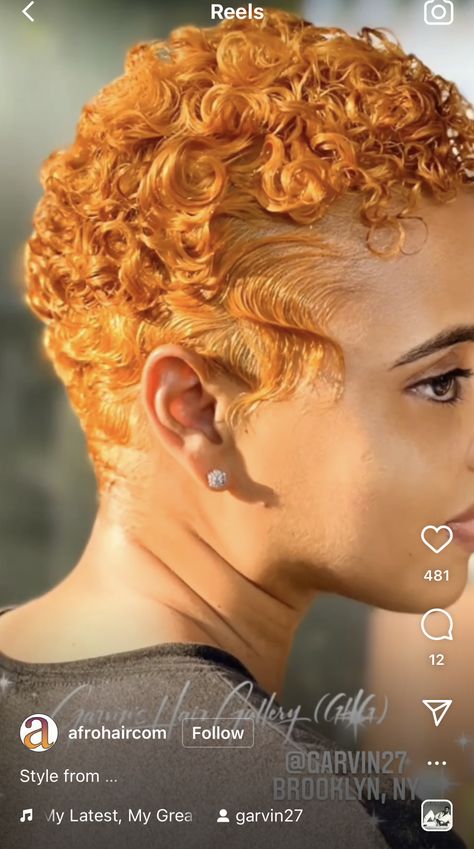 Short Blonde Twa Black Women, Big Chop Wavy Hair, Short Hairstyle Women Ginger, Honey Blonde Finger Waves, Ginger Finger Waves Black Women, Honey Blonde Twa Natural Hair, Short Ginger Hair Black Women, Ginger Short Hair Black Women, Ginger Finger Waves