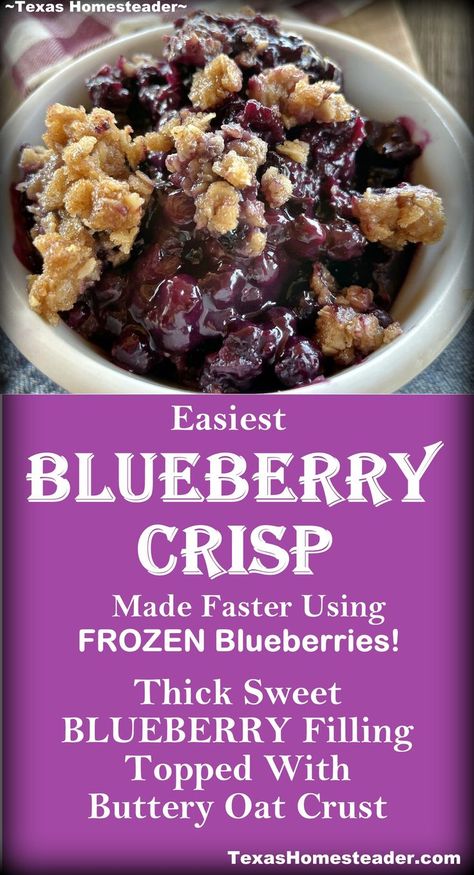 This blueberry crisp recipe features a thick sweet blueberry filling topped with a crispy buttery oat crust. It’s a simple recipe that uses a frozen-berry shortcut!   . . #TexasHomesteader #Blueberry #Dessert #EasyRecipe #BlueberryCrisp Blueberry Crisp Recipe With Frozen Blueberries, Blueberry Crisp Bars, Frozen Blueberry Crisp, Blueberry Cobbler With Frozen Blueberries, Single Serving Blueberry Crisp, Wild Blueberry Crisp, Frozen Blueberry Crumble, Blueberry Crockpot Recipes, Freezing Fresh Blueberries