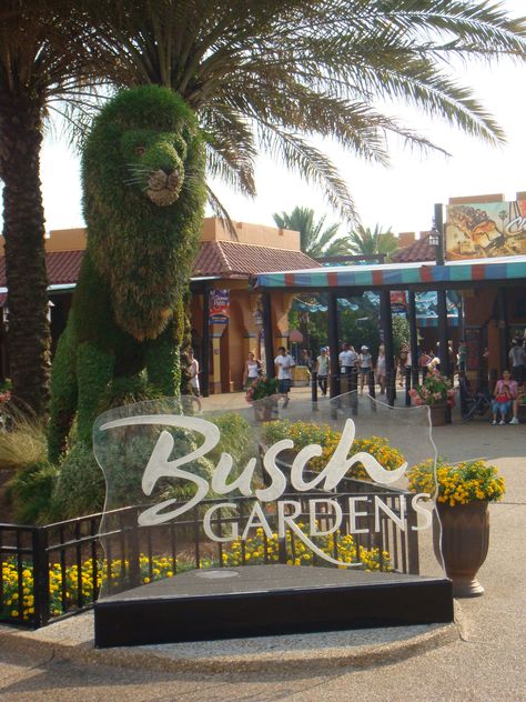 Busch Gardens, Tampa Bay, Florida Busch Gardens Tampa Pictures, Busch Gardens Tampa Aesthetic, Busch Gardens Aesthetic, Bush Gardens Tampa, Florida Nostalgia, Animal Topiary, Disney Prom, Busch Gardens Tampa Bay, Bush Garden