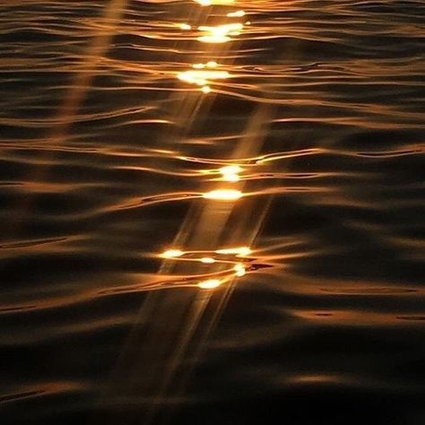 Water Aesthetic, Gold Aesthetic, Orange Aesthetic, Yellow Aesthetic, Brown Aesthetic, Photo Instagram, Golden Hour, Wall Collage, Dark Aesthetic