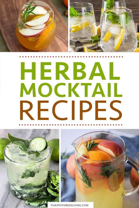 Herbal Infused Mocktails, Herb Mocktail Recipe, Herbal Alcohol Alternatives, Rosemary Drinks Nonalcoholic, Mocktails That Are Good For You, Mocktails Non Alcoholic With Herbs, Healthy Non Alcoholic Cocktails, Mocktails Adaptogens, Non Alcoholic Beverages Recipes