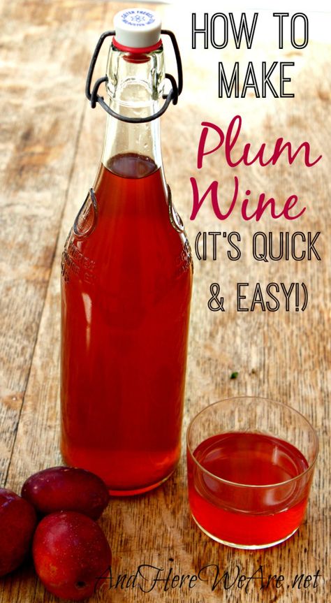 Quick and Easy Plum Wine | A step-by-step tutorial we can easily make! #pioneersettler Plum Wine Recipe, Homemade Wine Recipes, Homemade Alcohol, Plum Recipes, Homemade Liquor, Wine Recipe, Plum Wine, Homemade Wine, Läcker Mat