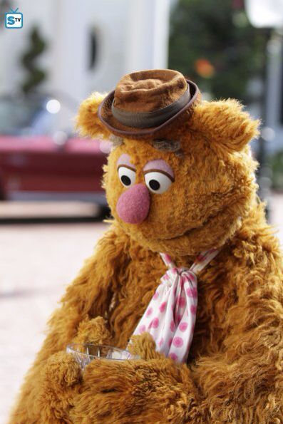 Fozzie Bear Muppets Characters, The Muppets Characters, Ernie Und Bert, Custom Puppets, Fozzie Bear, Sesame Street Muppets, Sesame Street Characters, Fraggle Rock, The Muppet Show