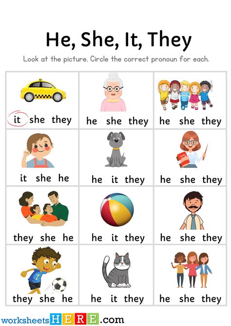 I We You They He She It Worksheet, Pronoun Kindergarten, Esl Pronouns Worksheet, She He It They Worksheet, Pronouns Speech Therapy Activities, Worksheet On Pronouns Grade 1, Pronouns Worksheets For Grade 1, They/it Pronouns, Pronoun Worksheets For Kindergarten