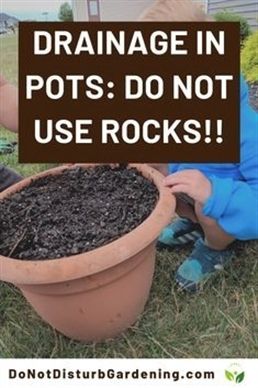 Growing Vegetables In Pots, Front Porch Concrete, Garden Remedies, Plant Pot Diy, Planting Pots, Potted Plants Outdoor, Root Rot, Painting Concrete Porch, Container Gardening Flowers