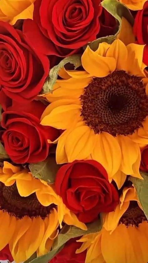 Ipad Wallpaper Aesthetic Sunflowers, Sunflowers And Roses Painting, Sunflower And Roses Wallpaper Iphone, Sunflowers And Roses Aesthetic, Sunflowers And Roses Wallpaper, Red Roses And Sunflowers, Roses And Sunflowers, Floral Design Wallpaper, Sunflowers And Roses