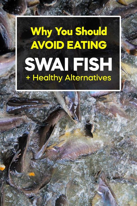 Discover why adding swai fish to your diet may not be the healthiest choice, and explore healthier fish alternatives. Recipes With Swai Fish, Blackened Swai Fish, Healthy Swai Fish Recipes, Fish Swai Recipes, Recipe For Swai Fillets, Stuffed Swai Fish Recipes, Recipes For Swai Fillets, Pan Seared Swai, How To Cook Swai Fillets