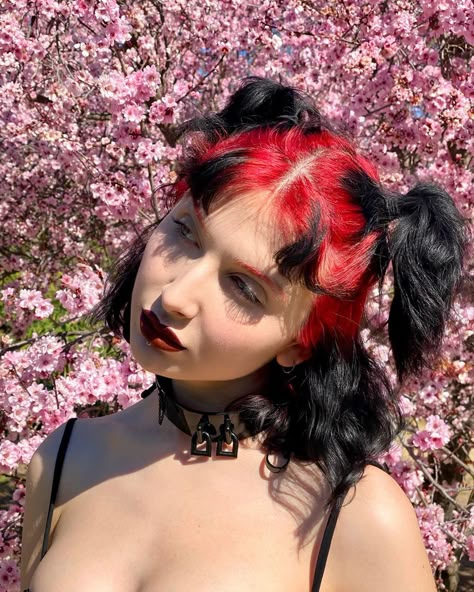 Black Tips Hair Color, Pink And Black Mullet, Edgy Bangs With Medium Hair, Alt Hair Dye Ideas Short Hair, Hot Roots Hair, Hair Color Ideas Alt, Hair Dye Inspo Short Hair, Alt Hair Color Ideas, Pink Roots Black Hair