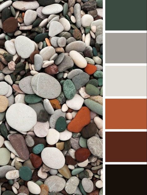 Color Palette With Dark Gray, Cool Gray Color Palette, Colour Palette Gray, Gray Palette Color, Dark Grey Color Combinations, Gray Brown Color Palette, Man Interior Design, Color Palette With Grey, Color Palette With Gray