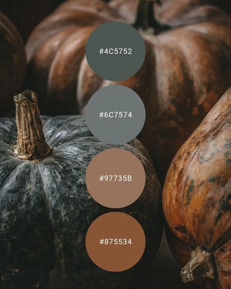 I’m loving these moody neutrals! Makes any room feel cozy and warm 🍂 . . . . . . @the_colour_of_calm #moody #colorpalette #autumn #fall #brown #gray #masculine #interiordesign #interiors #design #spokanedesigner #zuczeniadesigns Moody Neutrals, Moody Colors, Chocolate Color, Interiors Design, Fall Color, House Inspo, Autumn Fall, Future House, Autumn Winter Fashion