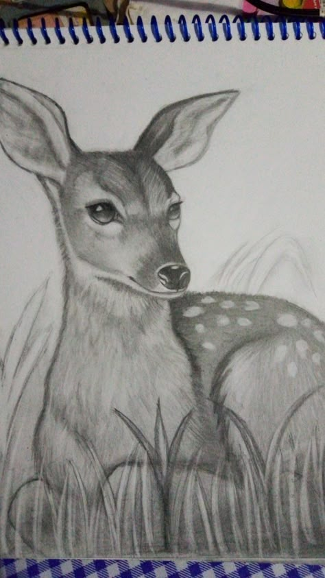 Animal Shading Drawing, Pencil Shading Animals, Shading Drawing Sketches Artworks, Deer Drawing Sketches, Charcoal Art Easy, Pencil Sculpture, Animal Sketches Easy, Marriage Proposal Ideas, Deer Sketch