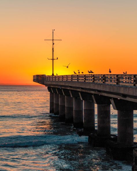 157 Likes, 8 Comments - Mouritz (@mou420) on Instagram: “Early morning sunrise at the beautiful pier in Port Elizabeth. . . . #proudlysouthafrican…” Port Elizabeth South Africa, Early Morning Sunrise, Paintings Ideas, Port Elizabeth, Eastern Cape, Romantic Honeymoon, Morning Sunrise, Historical Monuments, The Shark