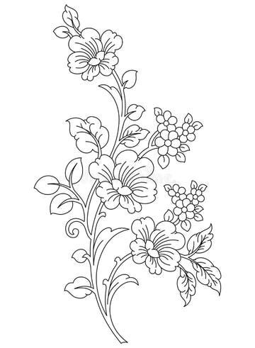 Olive branch stock vector. Illustration of black, gourmet - 23858656 Rose Line Art, Flower Pattern Drawing, Flower Drawing Design, Flower Art Drawing, Detailed Coloring Pages, Diy Embroidery Patterns, Floral Branch, Pola Sulam, Embroidery Patterns Vintage