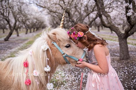 Unicorn Horn for Horse, Unicorn Horn Horse, Variety of Sizes Colors Realistic Hard Unicorn Horn for Pony Donkey Horse, Large Horn, Pony Horn Unicorn Horn For Horse, Bows Hair, Pet Bows, Unicorn Horn, Chester, Horn, Hair Accessories, Hair